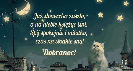Biały kot na dachu słodkich snów